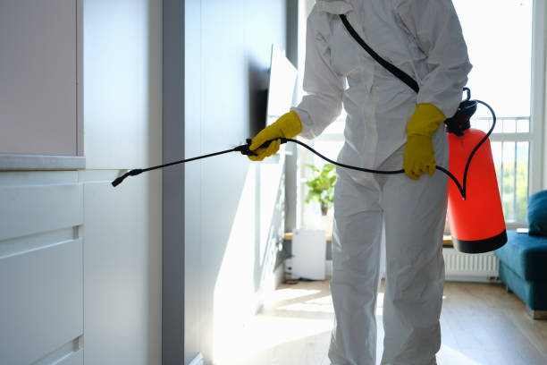 Best Mold Testing  in Kingfisher, OK